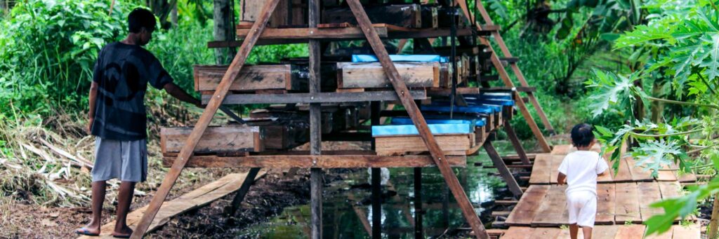 Stingless Bee Houses being maintained to make honey