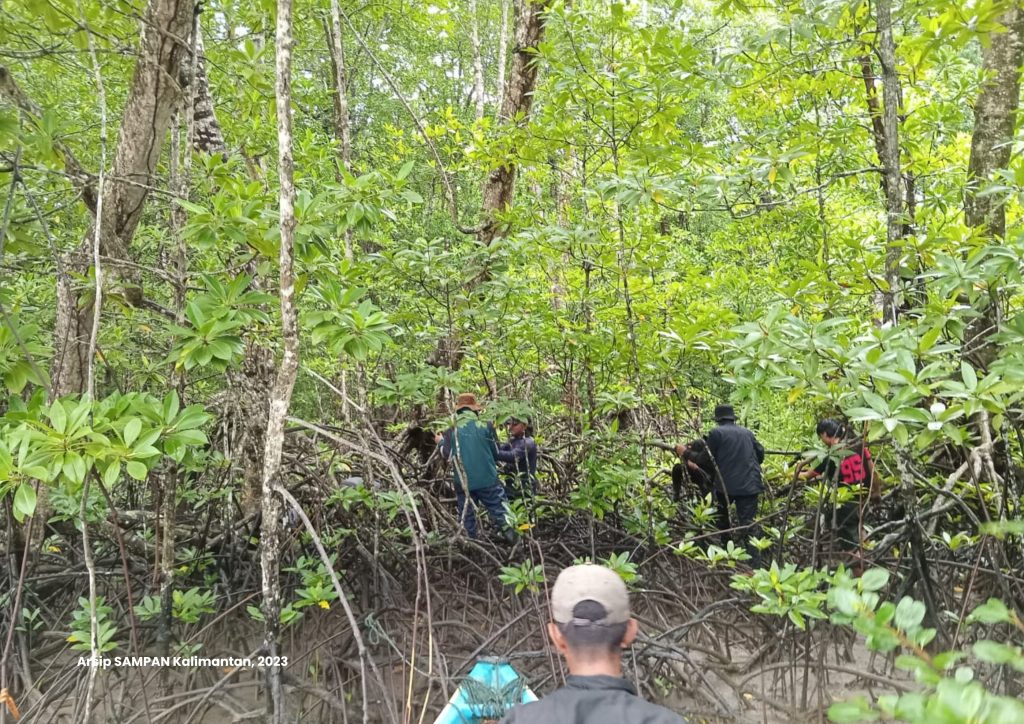 Hutan Mangrove Sebagai Sumber Pencarian Bagi Masyarakat Lokal