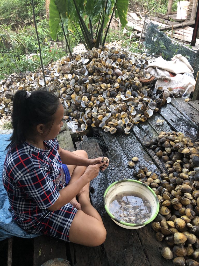 Menjaga Gurihnya Kerang Kepah Di Hutan Mangrove Desa Dabong