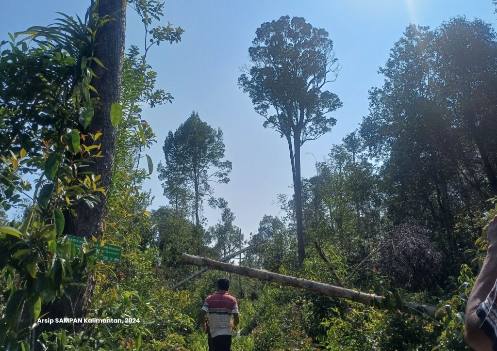 Kegiatan Patroli Upaya Pencegahan Hutan Dari Kerusakaan