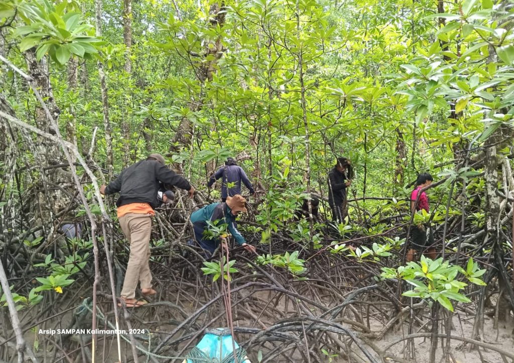 Peran LDPH Dalam Pengembangan Strategi Konservasi Hutan Daerah