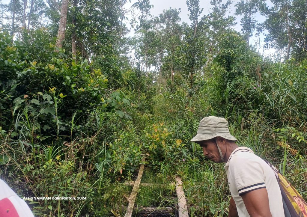 Pelestarian Kunci Nyata Cegah Kerusakan Hutan