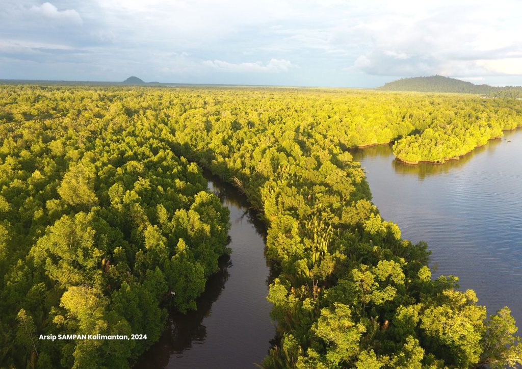 Menyelami Peran Zonasi Dalam Mengawal Ekosistem Mangrove - SAMPAN ...