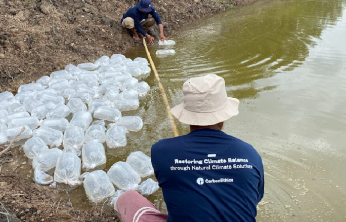 Kegiatan penyaluran berlangsung pada Selasa, 16 September 2025 di Desa Dabong. Program ini menerapkan pendekatan Silvofishery, sistem budidaya perikanan yang terintegrasi dengan penanaman serta konservasi hutan mangrove.