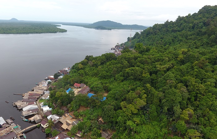 Isu perubahan iklim global semakin menempatkan hutan tropis, lahan gambut, dan ekosistem mangrove sebagai fokus utama diplomasi lingkungan Indonesia.